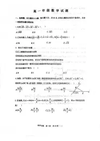 湖北省武汉市问津联盟2024-2025学年高一下学期5月月考数学试卷（PDF版附解析）
