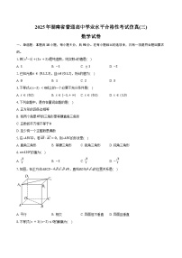 2025年湖南省普通高中学业水平合格性考试仿真(三)数学试卷（含答案）