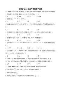 湖南省2025届高考模拟 数学试题（含解析）