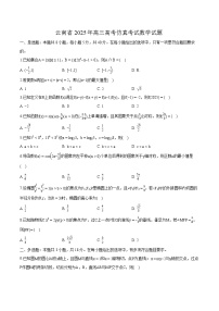 云南省2025年高三高考仿真考试 数学试题【含答案】