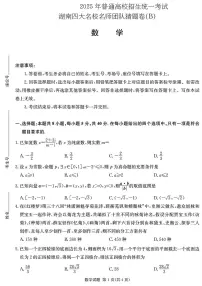 湖南2025届四大名校名师团队高考猜题卷B模拟预测数学试题【含答案】