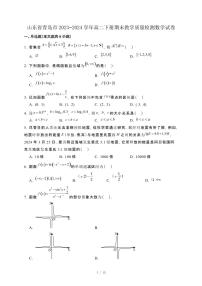 山东省青岛市2023−2024学年高二下册期末教学质量检测数学试卷[附解析]