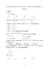 山东省青岛莱西市2024_2025学年高一下册学业水平阶段性检测（三）数学试卷[附解析]