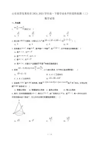 山东省青岛莱西市2024_2025学年高一下册学业水平阶段性检测（三）数学试卷[附解析]