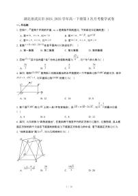 湖北省武汉市2024_2025学年高一下册第3次月考数学试卷[附解析]