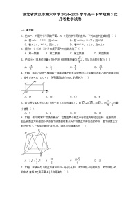 湖北省武汉市第六中学2024−2025学年高一下学期第3次月考 数学试卷（含解析）