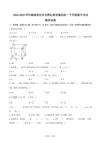 湖南省长沙市雅礼教育集团2024-2025学年高一下学期期中考试数学试卷（PDF版，含答案）