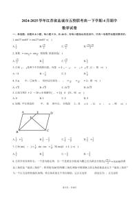 江苏省盐城市五校2024-2025学年高一下学期4月期中联考数学试卷（PDF版，含答案）含答案解析