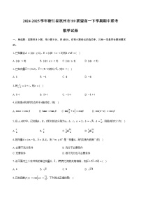 浙江省杭州市S9联盟2024-2025学年高一下学期期中联考数学试卷（含答案）含答案解析