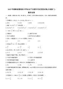2025年湖南省普通高中学业水平合格性考试仿真试卷(专家版二)数学试卷（含答案）