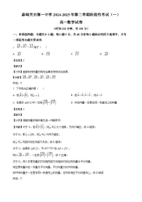 甘肃省嘉峪关市嘉峪关市第一中学2024~2025学年高一下册4月月考数学试题【附解析】