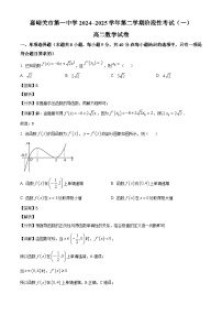 甘肃省嘉峪关市第一中学2024~2025学年高二下册4月月考数学试题【附解析】
