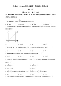 湖南省常德市第一中学2024~2025学年高一下册期中考试数学试题【附解析】