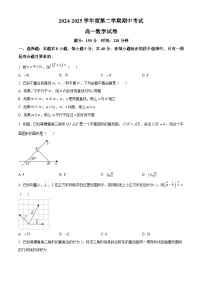 江苏省无锡市太湖高级中学2024~2025学年高一下册期中考试数学试卷【附解析】