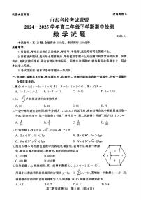 山东省名校考试联盟2024~2025学年高二年级下学期期中检测数学试卷