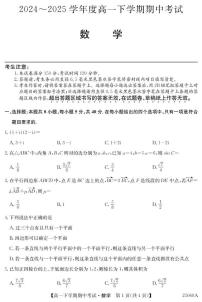 广东省深圳市2024-2025学年高一下学期期中考试数学试题（PDF版附解析）