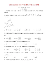 辽宁省大连市2024_2025学年高二数学上学期10月月考试题