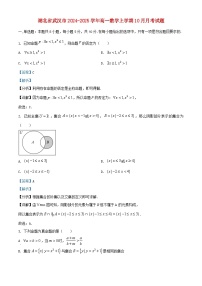 湖北省武汉市2024_2025学年高一数学上学期10月月考试题含解析