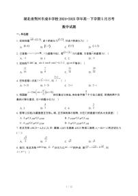 湖北省荆州市成丰学校2024~2025学年高一下册5月月考数学试卷【附解析】