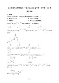 山东省菏泽市鄄城县第一中学2024~2025学年高一下册5月月考数学试卷【附解析】