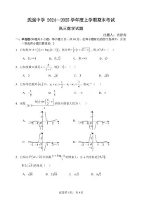 河北省衡水市武强中学2024-2025学年高三上学期期末考试数学试题