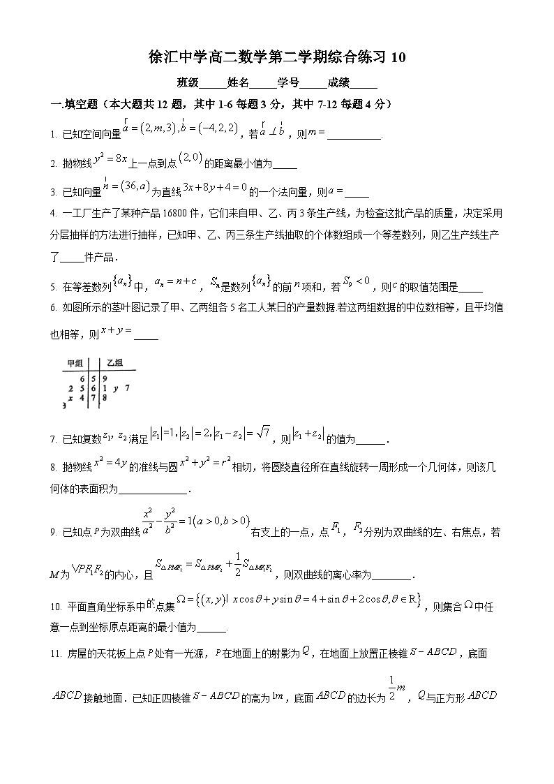 上海市徐汇中学2024-2025学年高二下学期5月月考数学试卷第1页