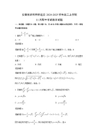安徽省蚌埠市怀远县2024-2025学年高二上学期11月期中考试数学试卷（解析版）