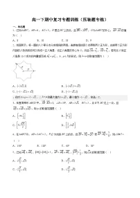 2025年人教A版高中数学必修二 高一下期中复习分类训练（压轴题专练）（2份，原卷版+解析版）