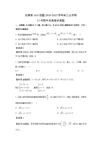 【数学】安徽省A10联盟2024-2025学年高二上学期11月期中考试试题（解析版）