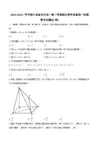 浙江省温州市2024-2025学年高一下学期期末考试 数学（B） 含解析