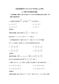 【数学】河南省濮阳市2024-2025学年高二上学期11月期中考试试题（解析版）