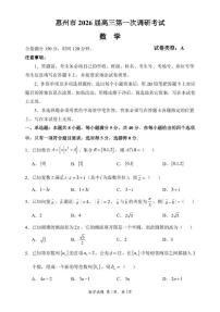 惠州市2026届高三第一次调研考试 数学试题（含答案）