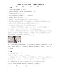 上海市上海中学2023-2024学年高二下期末考试 数学试题（含解析）