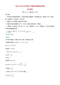 上海市松江区2024_2025学年高三数学上学期期末质量监控考试试题含解析