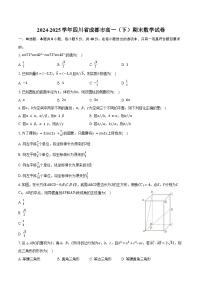 2024-2025学年四川省成都市高一（下）期末数学试卷（含答案）