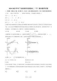 2024-2025学年广东省深圳市某校高二（下）期末数学试卷（含答案）
