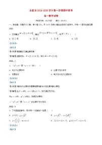 安徽省合肥市2024_2025学年高一数学上学期期中试卷含解析