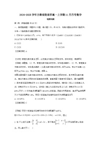 2024_2025学年_甘肃陇南高一第一学期11月月考数学试卷[附解析]