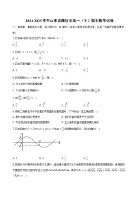 2024-2025学年山东省潍坊市高一（下）期末数学试卷（含解析）
