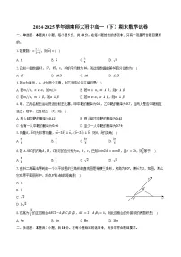 2024-2025学年湖南师大附中高一（下）期末数学试卷（含答案）