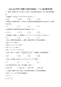 2024-2025学年广西南宁市部分学校高一（下）期末数学试卷（含解析）