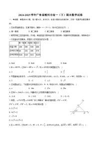 2024-2025学年广东省潮州市高一（下）期末数学试卷（含解析）