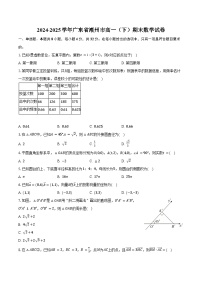2024-2025学年广东省潮州市高一（下）期末数学试卷（含答案）