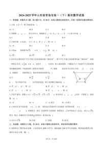 2024-2025学年山东省青岛市高一（下）期末数学试卷（含解析）