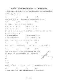 2024-2025学年湖南师大附中高一（下）期末数学试卷（含解析）