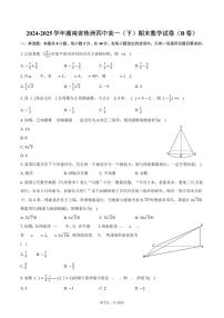 2024-2025学年湖南省株洲四中高一（下）期末数学试卷（B卷）（含解析）