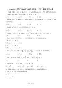 2024-2025学年广西南宁市部分学校高一（下）期末数学试卷（含解析）