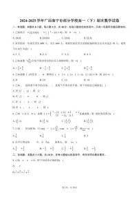 2024-2025学年广西南宁市部分学校高一（下）期末数学试卷（含解析）