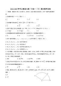 2024-2025学年云南省玉溪一中高一(下)期末数学试卷(含答案)