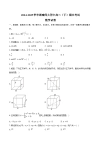2024-2025学年湖南师大附中高二（下）期末数学试卷（含解析）